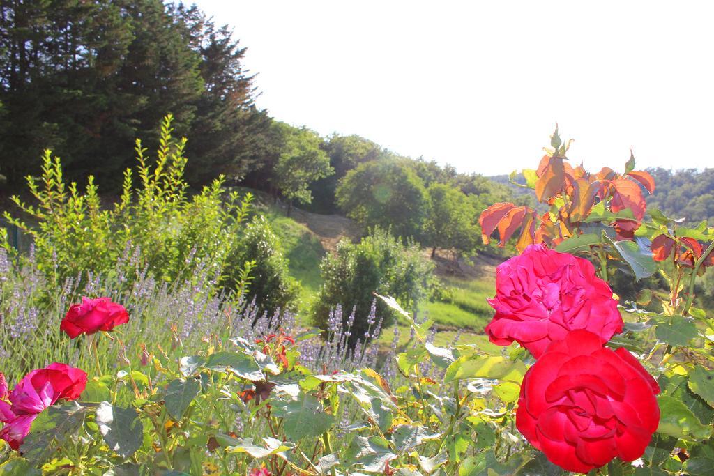 Appartamento Sandra House Castellina in Chianti Esterno foto