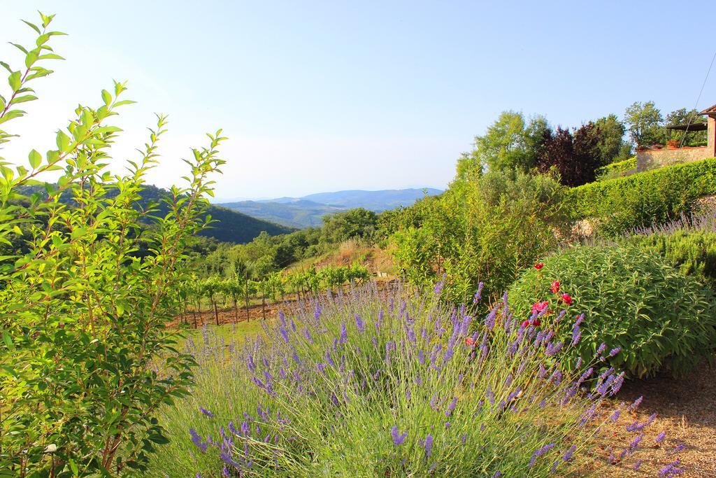 Appartamento Sandra House Castellina in Chianti Esterno foto